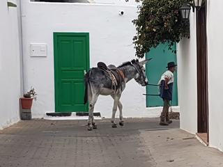 Teguise – Espagne