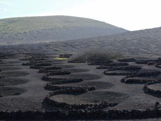 L'étonnante vallée de La Geria – Espagne