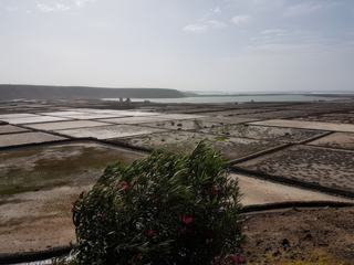 Les Salines de Janubio – Espagne