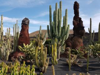 Le jardin de cactus – Espagne
