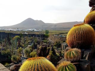 Le jardin de cactus – Espagne
