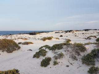 Caleton Blanco – Espagne