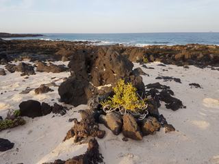 Caleton Blanco – Espagne