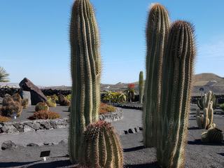 El Grifo – Espagne