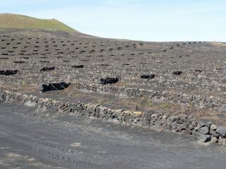 El Grifo – Espagne