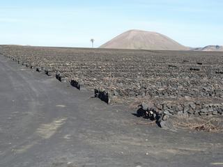 El Grifo – Espagne