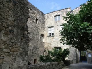 Chateau de Vogüé.