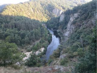 La Loire près de Coubon (oui c'est bien elle!).