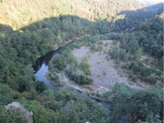 La Loire près de Coubon.