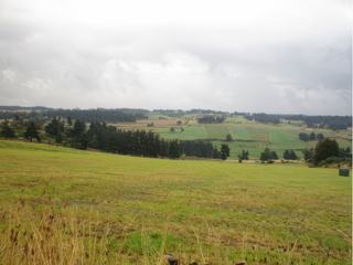 Paysage en Margeride.