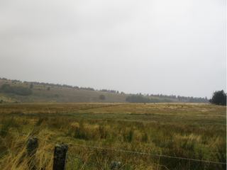 Paysage en Margeride.