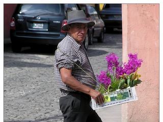 Un vendeur de fleurs.
