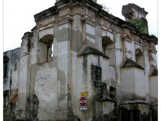 Des ruines vivantes qui se dressent encore vers le ciel.
