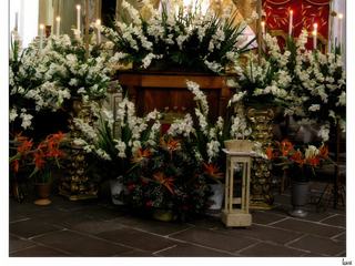 A l'intérieur de l'église, malheureusement plus grand chose a voir. Tout ce qui avait de la valeur (retables, portes, lustres, autel...) a été transporté dans l'église de la Merced à Ciudad Guatemala.