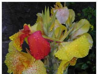 De jolies couleurs.