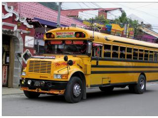 Egalement appelés "chicken bus" par les locaux, car ils servent principalement aux agriculteurs pour rejoindre les villes et vendre leurs récoltes, ce sont d’anciens bus scolaires américains très colorés et cédés au Guatemala.