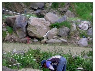 Dans les champs tout est encore fait à la main (tout au moins en 2006).
