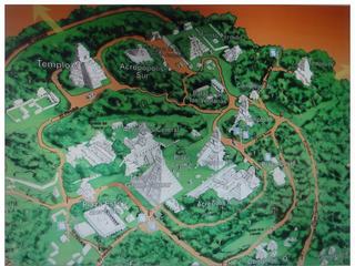 La découverte de Tikal remonte à 1848, mais les archives guatémaltèques font allusion à des voyageurs qui allèrent à Tikal pour s’y établir au XVIIIe siècle. Au milieu d'un parc protégé de 576 km2, les ruines occupent à ce jour 16 km2 de la partie centrale de Tikal. On y dénombrerait plus de 3000 édifices différents, mais autour il y avait aussi des groupes de modestes maisons, aujourd'hui disparues. Les premiers Mayas sont arrivés sur le site au VII s av.J.-C. Très vite, ils ont construits les premiers édifices; on pense que dès 200av.J.-C, il y avait déjà des constructions à caractère cérémoniel. Au fil des siècles elles ont été recouvertes par d'autres structures. A Tikal, où qu'on aille, on marche sur des ruines enfouies. La période classique s'est étendue de 250 à 900 apr.J.-C., date de la chute de la cité. La lignée dynastique de Tikal comporte au moins 33 rois. Certains d'entre eux, ont des surnoms sous lesquels ils étaient connus avant le déchiffrement phonétique de leur nom. L'un des dirigeants les plus célèbres de Tikal est Jasaw Chan K'awiil I, également connu sous le surnom "Ah Cacao".