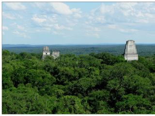 Temples I, II et III, vus du temple IV (temple du Serpent à deux têtes). La vue du haut de cette pyramide semblera sûrement familière aux fans de Star Wars: c’est celle qu’à choisi George Lucas pour cacher les rebelles de l’Empire sur la lune Yavin 4, dans l’épisode IV: A New Hope. On peut voir ainsi le célèbre Faucon Millenium atterrir sur le dessus du Temple IV, avec vue sur le Temple I, II et III.