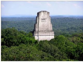Le sommet du temple III (temple du Prêtre du Jaguar), domine la canopée. A moitié enfoui dans la terre, et donc inaccessible, il n’est visible qu’au travers des feuillages. C'est le dernier grand temple-pyramide construit à Tikal. Il fut bâti sous le règne de "Soleil noir". La seule date connue de son règne (810) figure sur la Stèle 24 au pied du temple. Un linteau célèbre de ce temple représente un souverain corpulent vêtu d'une peau de jaguar qui pourrait représenter Soleil Noir exécutant une danse rituelle aux alentours de l'an 810. La pyramide atteint 55 m de haut et le sanctuaire du temple possède deux chambres.