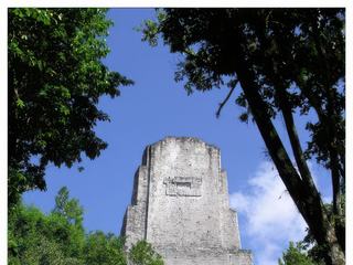 Un écrin de verdure pour le temple III.