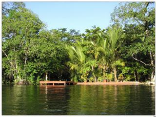 La balade en bateau nous permet d'apprécier acajous, cèdres américains, sapotilliers, conacastes et palmiers corossoliers.