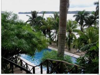 Vue sur la piscine.