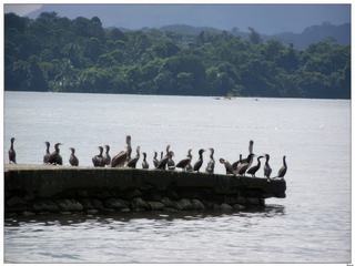 La queue à l'embarcadère!