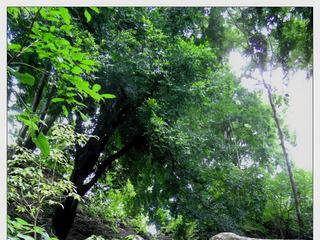 Lorsque le conquistador espagnol Diego García de Palacio découvrit la ville en 1570, il n'y trouva que les vestiges de la splendeur passée de Copán, envahis par une jungle dense. A partir de 1839, les fouilles commencèrent sous l'impulsion de l'explorateur américain John Lloyd Stephens et de son dessinateur Frederick Catherwood.