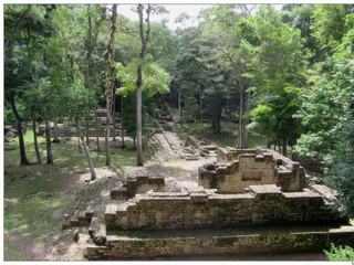 Quel privilège de découvrir ces ruines, envahies par la végétation, sans personne autour. Au 1er plan, la structure 29,au fond la 32.