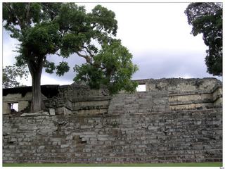 Le Temple de la Méditation (temple 22) est l’œuvre la plus importante du règne de "Dix-Huit Lapin". Pendant longtemps, ce bâtiment fut considéré comme l’expression architecturale la plus aboutie des artistes mayas. Nous savons aujourd’hui que ce type de construction existait bien avant son règne, et que ce temple exprimait la vision de la création des Mayas. Construit avec des matériaux périssables, il est très détérioré, et aujourd’hui seules quelques sculptures subsistent encore.
