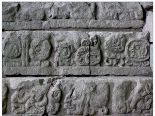 Détail des glyphes sur les marche de l'escalier des Hiéroglyphes.