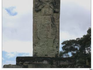 Vue sur la stèle 2, située à l'extrémité nord du terrain de jeu de balle. Elle représente le 12ème souverain de Copán, Imix K'awiil ("Jaguar de Fumée"): 628-695, en tenue rituelle pour célébrer l'achèvement d'un important cycle calendaire ou "fin de période". Cette date de dédicace correspond à 652 de notre ère.