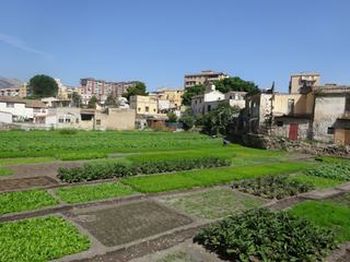 Palerme: quartier de Dannisini.