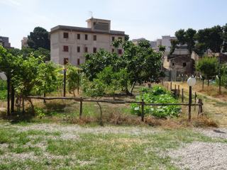Palerme: quartier de Dannisini.