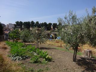 Palerme: quartier de Dannisini.
