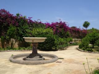 Palerme: jardins Palazzo dei Normanni.