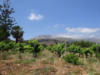 Scopello.