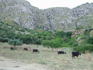 Environs de San Giuseppe Jato (30km sud de Palerme).