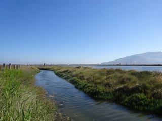 Saline de Nubia.