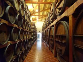 Marsala: cantine Pellegrino.