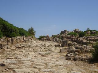 Selinonte.