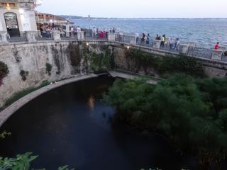 Syracuse: fontaine Aretusa.