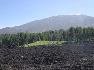 Versant nord de l'Etna (Piano Provenzana).