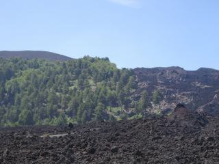 Versant nord de l'Etna (Piano Provenzana).