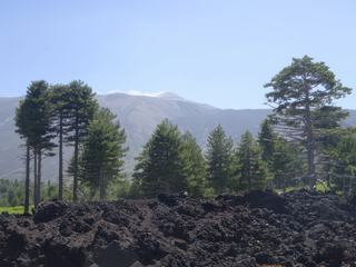 Versant nord de l'Etna (Piano Provenzana).