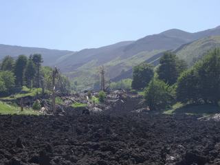 Versant nord de l'Etna (Piano Provenzana).