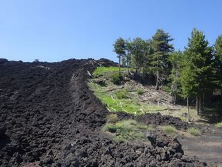 Versant nord de l'Etna (Piano Provenzana).