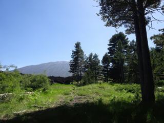 Versant nord de l'Etna (Piano Provenzana).