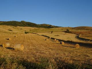 Environs de Gangi.